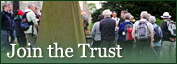 Join the Trust