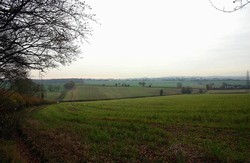 Looking south from the royalist position, beside Appledown Lane below Dark Coppice, towards the parliamentarian position on the second ridge. Cheriton Wood lies on that ridge on the left hand side. The battle was fought mainly in the intervening valley. In McGovern's metal detecting survey the field in the foreground was found to contain large numbers of lead bullets from the firefight between infantry units, probably in the later stages of the battle.