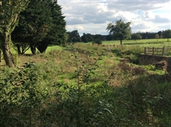 The low ground along the River Lark looking north towards the golf course, taken from the causeway.
