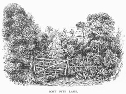 Scot Pits Lane in 1896.