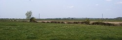 Looking north west from the battle monument towards Chedzoy village. It was in this area that the rebel army was broken, troops fleeing across the flat moorland towards Chedzoy island, the slightly higher ground in the middle distance.
