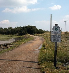 Northey Island from the eastern end of the causeway