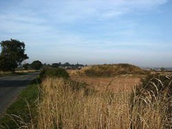 This mound next to the Fenn Lanes, suggested as a site of burial of the Bosworth dead, is in fact a windmill mound. Fenny Drayton village can be seen in the background.