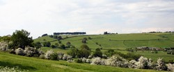 Freezing Hill from eastern spur of Lansdown Hill (NGR: 373081,170402)
