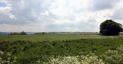 On Lansdown Hill looking south from near the monument to a stone wall which crosses the plateau at its narrowest point (NGR: 372093,170161)