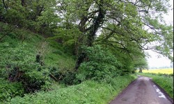 Looking south west along the former main road from Newark to Nottingham, now just a lane, running south west from the end of Church Lane. On the right are the former meadows and marshes on the floodplain of the Trent. On the left, is Stoek Wood, on the steep scarp up onto the hilltop where the rebel army is thought to have deployed.