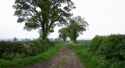 Looking north east down Humber Lane.