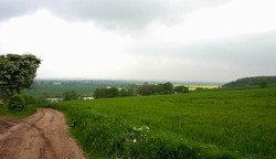 Looking north into the Trent valley towards Fiskerton from Trent Lane. Showing the steep slope down from the hilltop, with the former marsh and meadow of East Stoke under yellow crops and with Stoke Wood on the slope to the right.