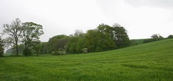 On the floodplain of the Trent looking north east from the Trent Lane along the line of the former Nottingham road, running from East Stoke to the Hazelford Ferry. On the right is the steep scarp up onto the hilltop, with Stoke Wood on the slopes in the distance.
