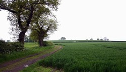 Looking south west from the top of Humber Lane to the crest of the hill, where the rebel army probably deployed.