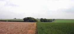 Looking east along the line of the former road from Horncastle where it joined Slash Lane, with the high ground of Winceby in the distance beyond Slash hollow.