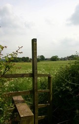Footpaths around Winceby are generally well marked and well maintained. Looking east to Winceby village from the lane by Winceby Manor Farm.