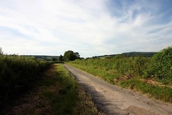 The Roman road, known here as the Hereford Lane, running north across the battlefield towards Mortimer's Cross.