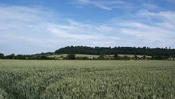 The northern end of Edgehill viewed from the battlefield, just behind the royalist lines near Kings Leys.