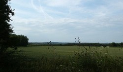 Looking north straight across the battlefield between the two deployments: parliamentarian on the left and royalist on the right. A view taken from close to the royalist left flank, where the road now turns a sharp corner near Westcote Farm.
