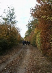 The former road from Radway to Kineton, closed when the MOD depot was constructed, runs on the line of a road existing in 1642. At that time the land to the left were the hedged fields of Westcote while the land to the right was the open field of Radway. The hedges to the left are almost certainly those from which the parliamentarian dragoons had to be cleared before Wilmot's cavalry could attack.