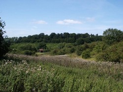 The valley running down from the Battle Well, looking west towards the Obelisk which lies amongst the trees on the top of the hill opposite. That is the improbable location where Ramsay suggested de Montfort had deployed his forces. It is more likely that the valley was used by Edward to protect the left flank of his army deployed on the hilltop and to the right. Though the slopes are in places quite steep, the valley hardly warrant's Burne's description of 'ravine'.