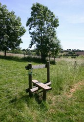 Stile on the path to the Obelisk, with Greenhill in the distance