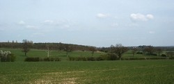 The western edge of the former Enfield Chase, looking north east towards Bentley Heath. The slope to the left is the north side of the valley of the Monken Mead Brook. It is possible that this was the valley where the Yorkist forces deployed, with the Lancastrian army on the rising ground.
