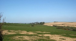 Looking north eastward along the line of the former road to Boconnoc, which joined the main Liskeard to Lostwithiel road just over the crest of the hill to the right. This is probably the road along which the royalist army was advancing when the parliamtarian forces arrived. The hedgerows on the left probably existed in 1643, representing small fields around Middle Taphouse. All the rest of this land was open pasture known as the East Downs, or Braddock & St Pinnock Commons. The parliamentarian forces may have deployed on the hilltop to the right, the royalsits on this side of the valley and in the enclosures.
