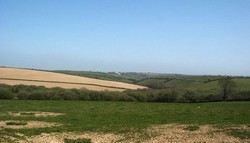 Looking eastward across the East Downs. The area of trees in the valley bottom might possibly have been a small marsh. All the land in the foreground and middle distance was open common in 1643, with the road from Liskeard to Fowey running along the crest of the hill on the left and down into the valley on the right. This may have been the road along which the parliamentarian forces were advancing when they encountered the royalist vanguard.