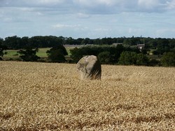 The Battle Stone, known as the Bendor Stone, which has become the only monument to the battle.