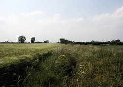 Looking west along the moor ditch which still survives for a short distance on the west of Moor Lane. The former moor is to the right.