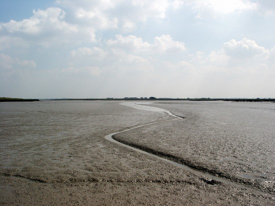 Mud at low tide