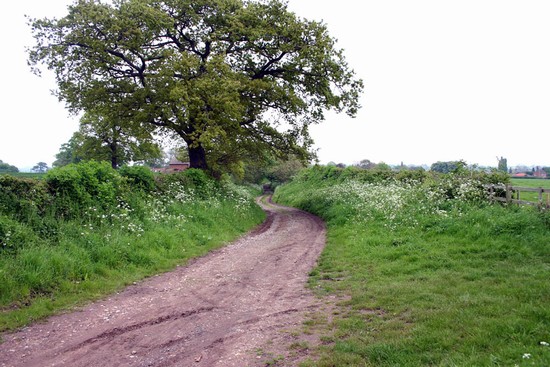 Humber Lane entering the village