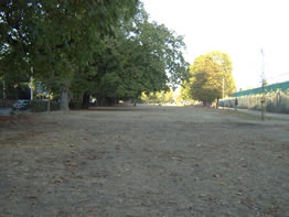 The modern day Acton Common looking toward the position of the parliamentarian army