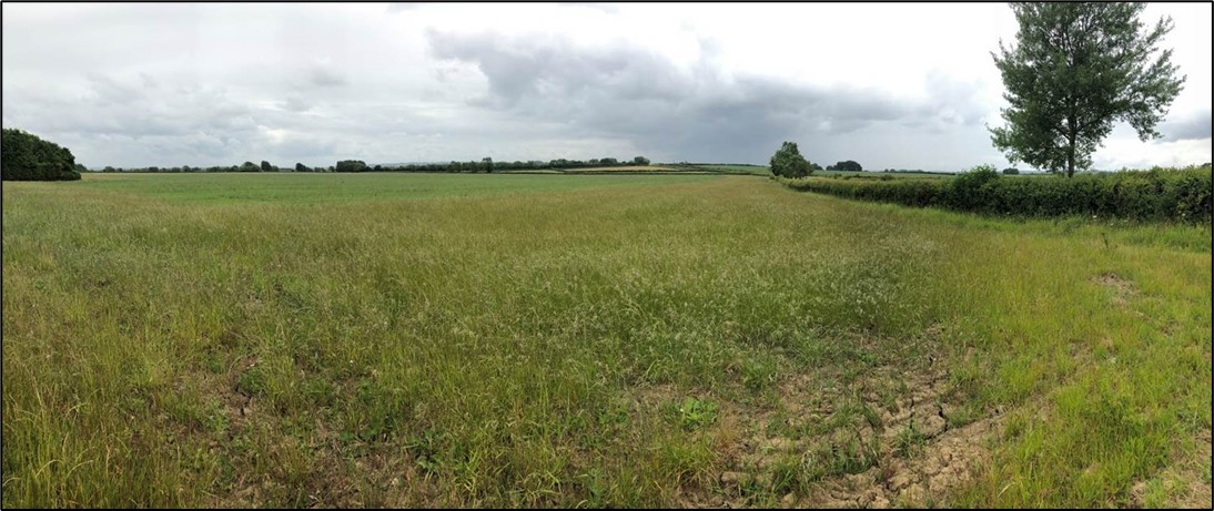 Islip battlefield from the probable royalist position - Photo Gregg Archer Islip battlefield from the probable royalist position - Photo Gregg Archer