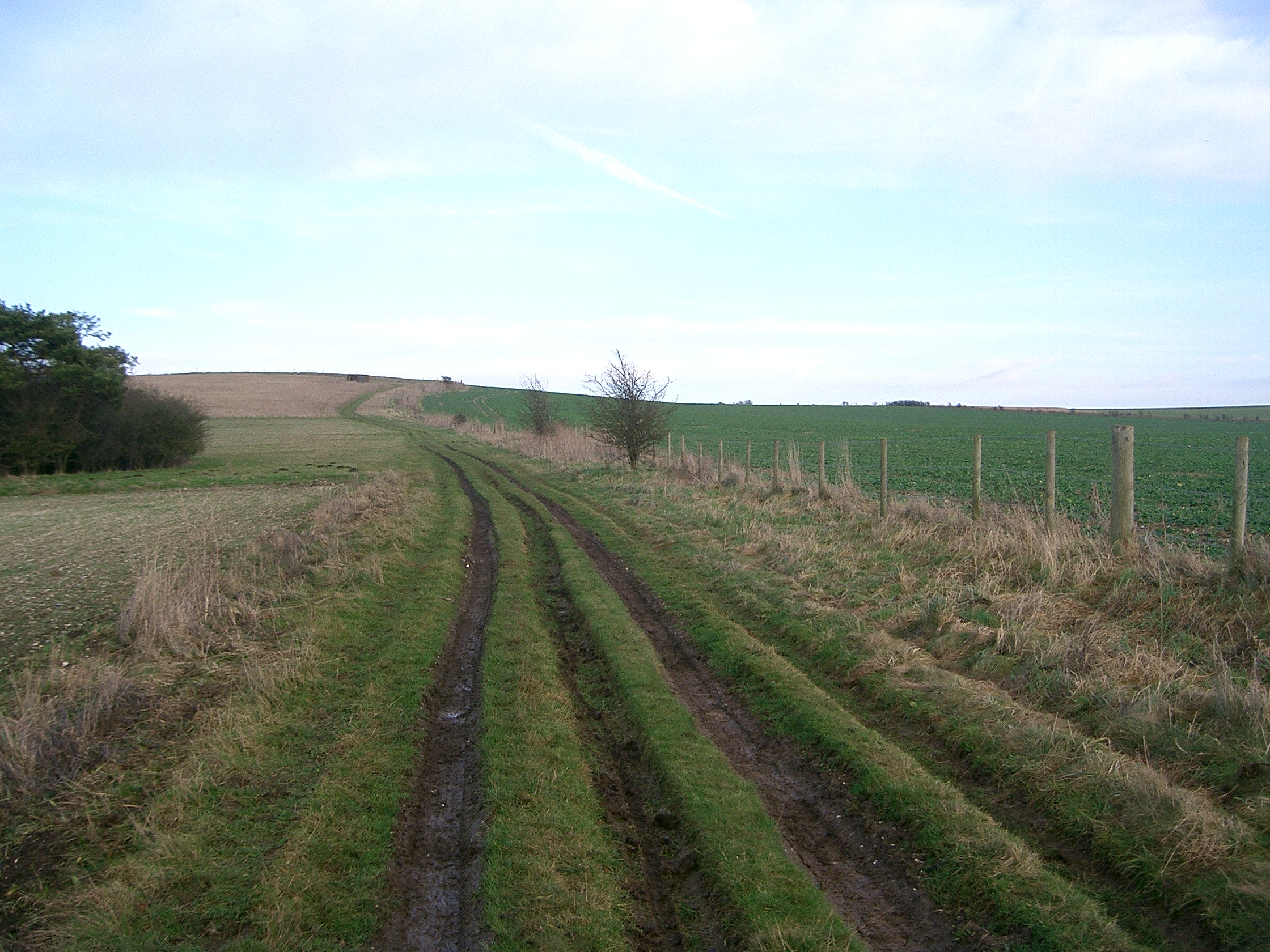 Possible Anglo-Saxon position at Ashdown looking toward Lowbury Hill Possible Anglo-Saxon position at Ashdown looking toward Lowbury Hill
