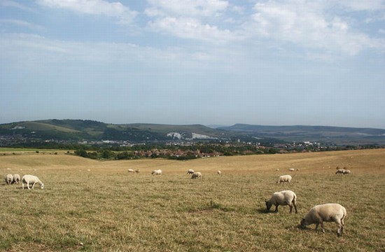 Lewes from the Downs Lewes from the Downs