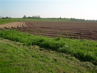 Royalist view of the parliamentarian position at Ripple