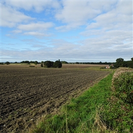 Winwick battlefield looking across the Anglo-Scottish position from the east