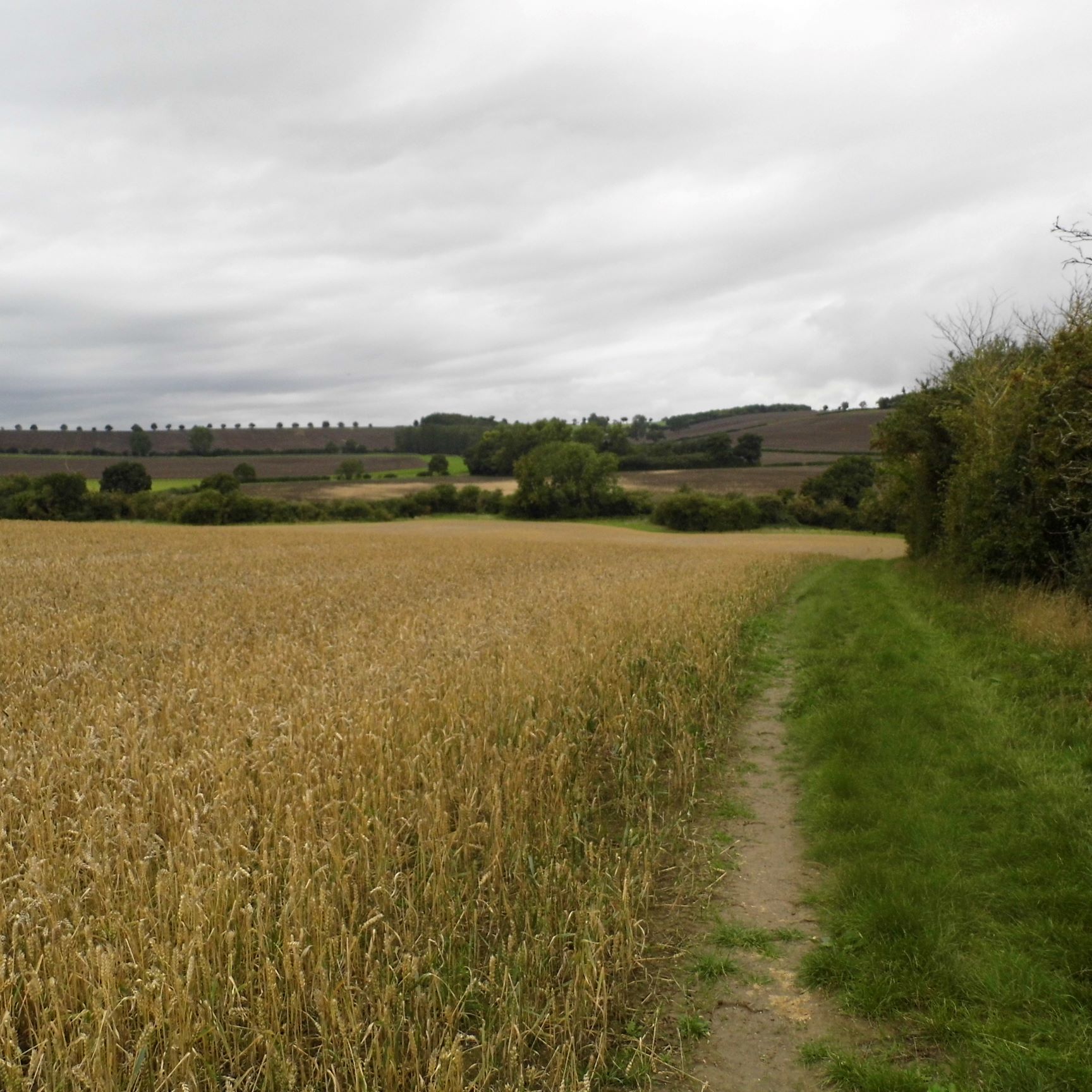 The battlefield at Edgcote The battlefield at Edgcote
