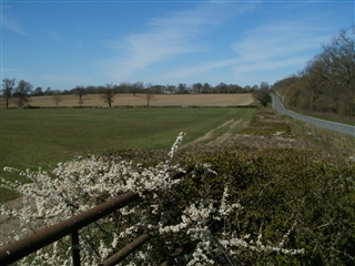 View toward Dancers Hill at Barnet . Photo: Clive Hammersley