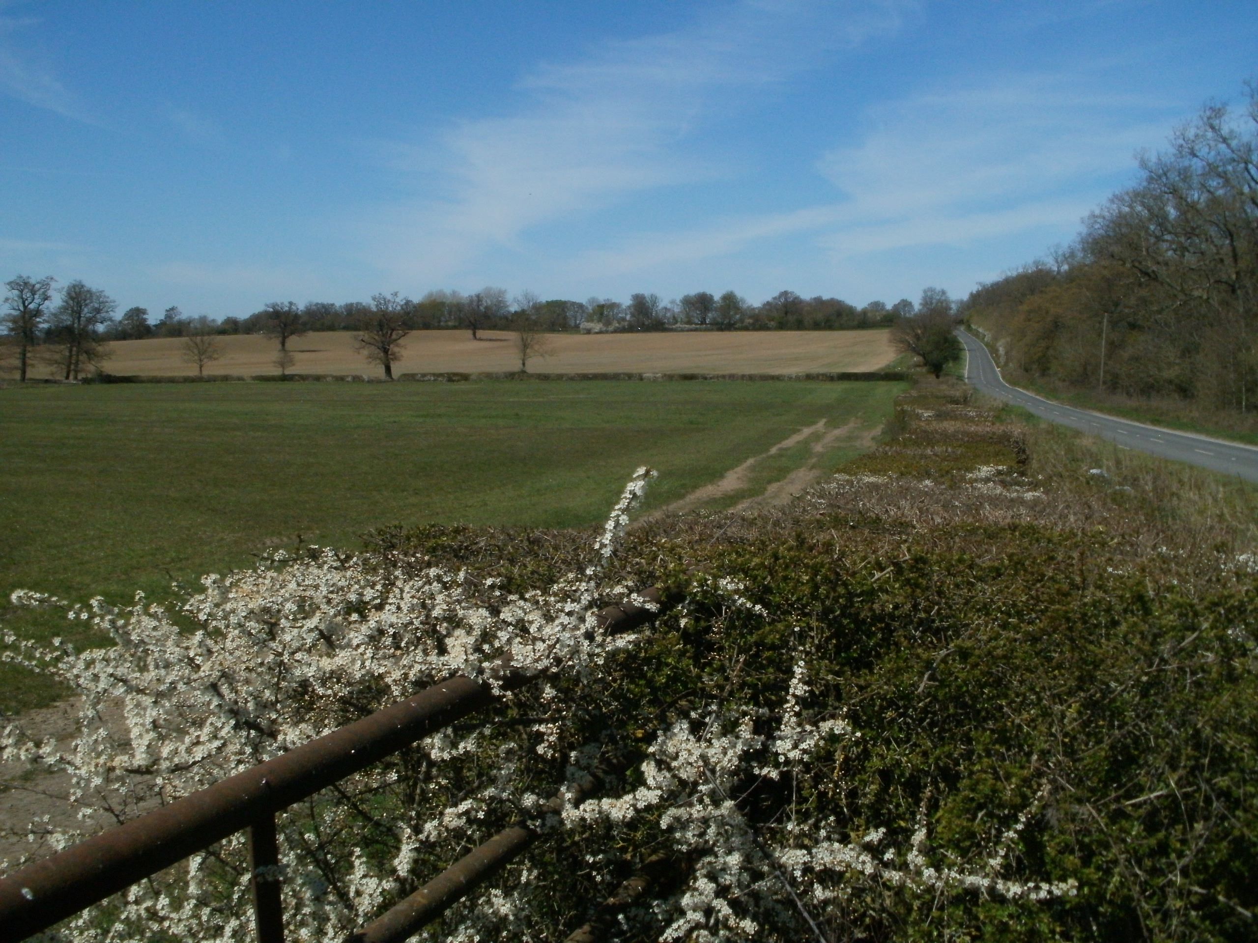 View toward Dancers Hill at Barnet . Photo: Clive Hammersley View toward Dancers Hill at Barnet . Photo: Clive Hammersley