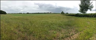 The Islip battlefield from the probable royalist position (Photo: Gregg Archer)