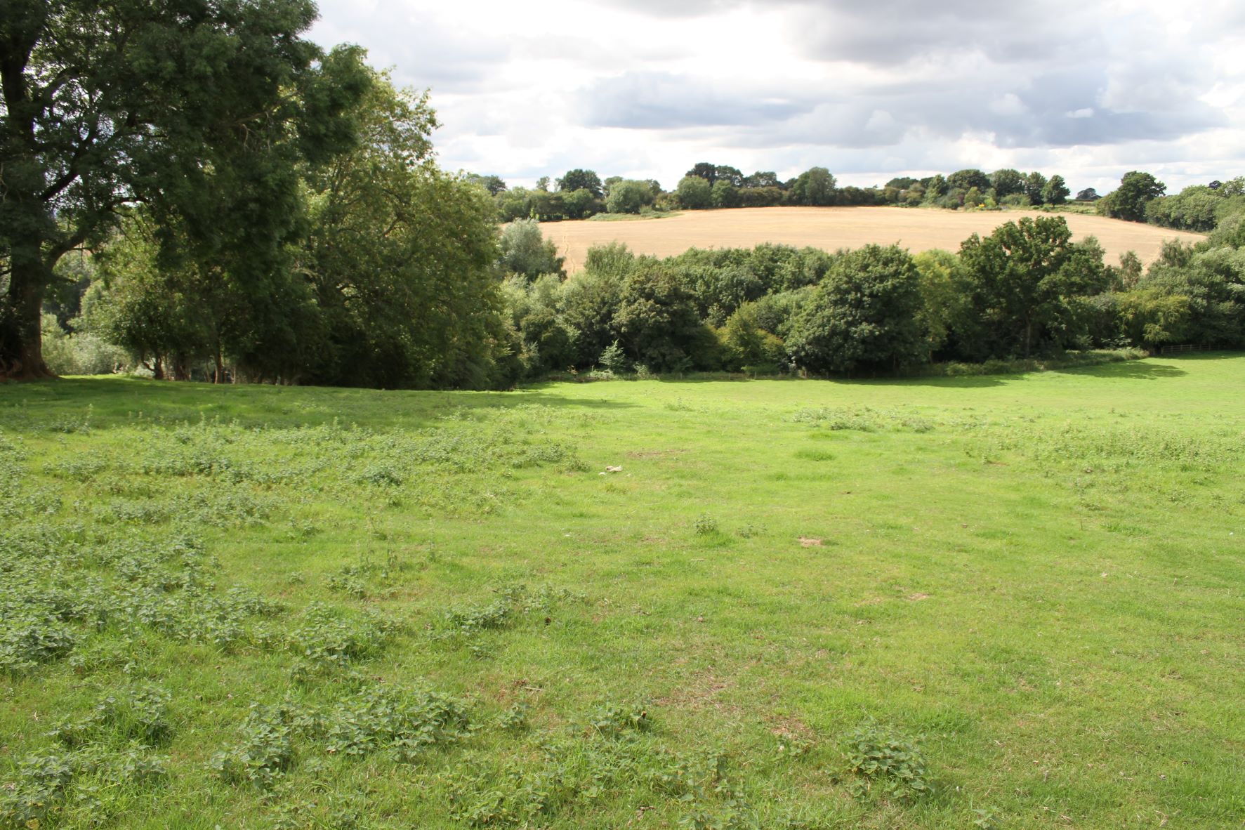 The possible battlefield at Middleton Cheney The possible battlefield at Middleton Cheney