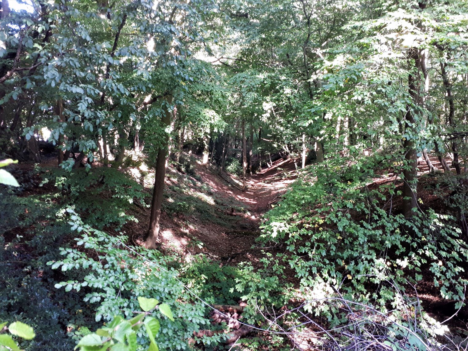 Beech Bottom Dyke St Albans fortified by the earl of Warwick at the second battle of St Albans Beech Bottom Dyke St Albans fortified by the earl of Warwick at the second battle of St Albans