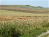 the parliamentarian position as seen from the old Bath road - Photo: Chris Scott