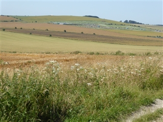 the parliamentarian position as seen from the old Bath road - Photo: Chris Scott