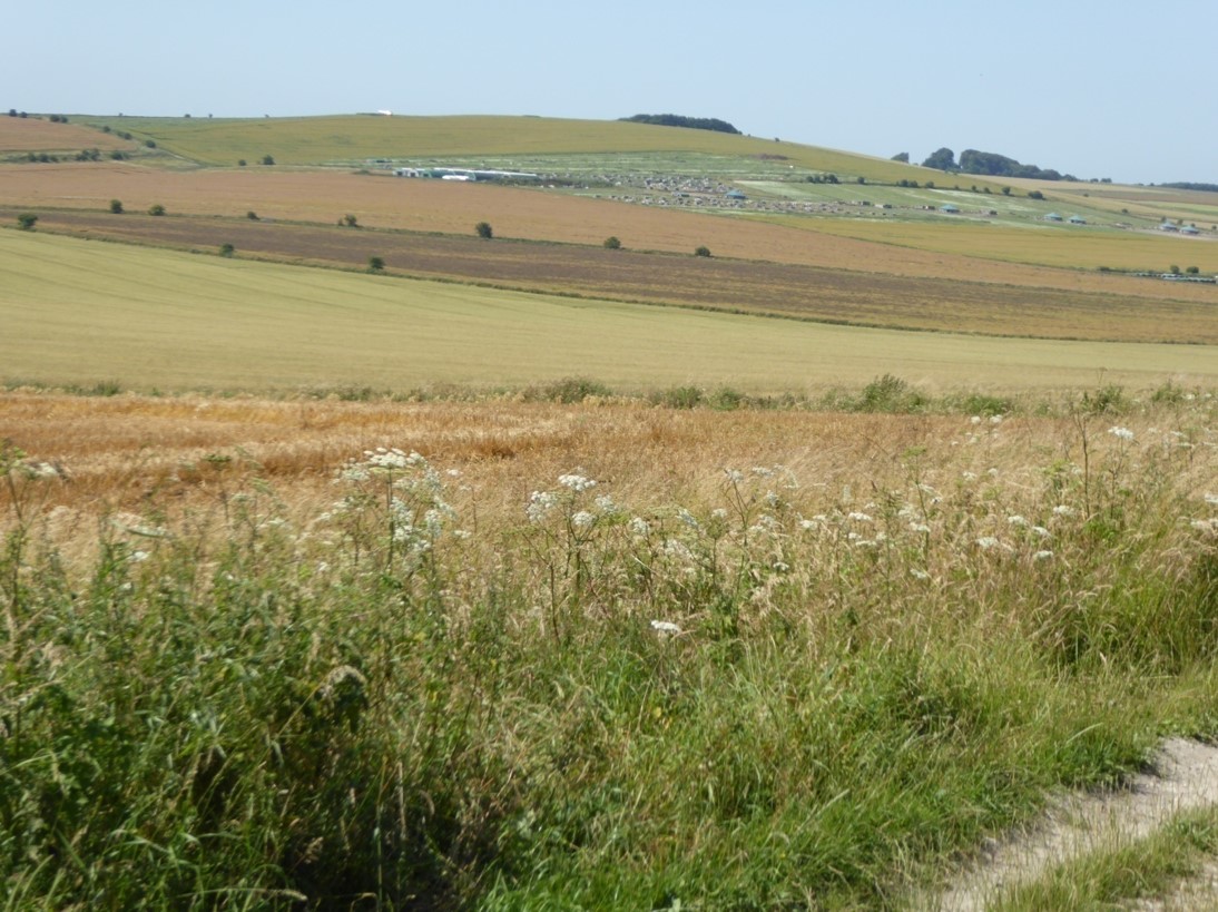 the parliamentarian position as seen from the old Bath road - Photo: Chris Scott the parliamentarian position as seen from the old Bath road - Photo: Chris Scott