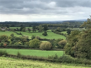 Nibley Green battlefield