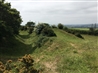 Castle Dore