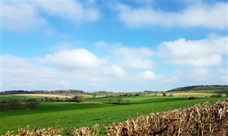 Cheriton - Looking east from the parliamentarian lines on East Down