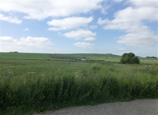 View of the battlefield from the royalist side