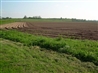 Ripple battlefield