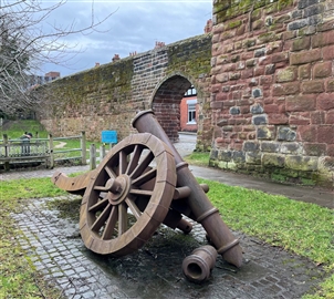 Morgan's cannon